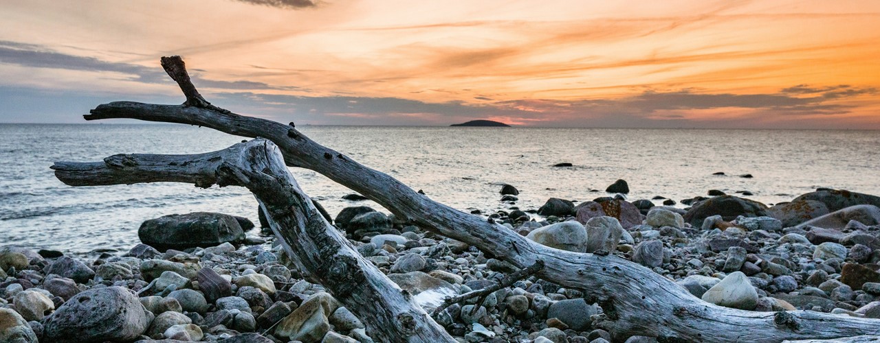 samuel-horn-af-rantzien-4m2vC1xtncA-unsplash